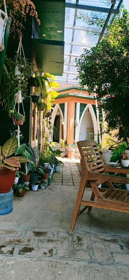 Latansa Homestay Banyuwangi  Ngoại thất bức ảnh