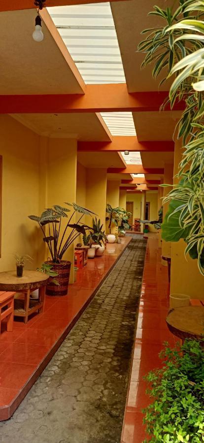 Latansa Homestay Banyuwangi  Ngoại thất bức ảnh
